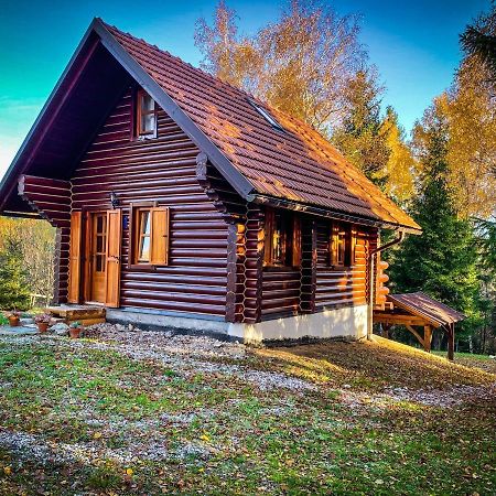 Pine Lodge Hlevci Exterior photo