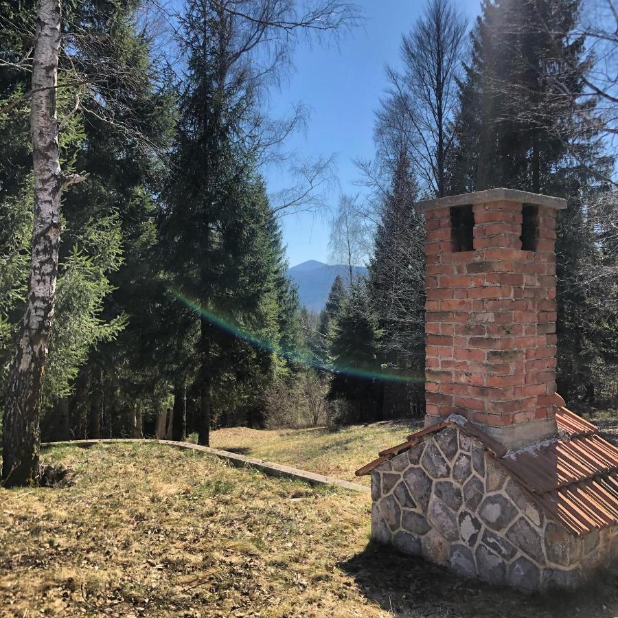 Pine Lodge Hlevci Exterior photo